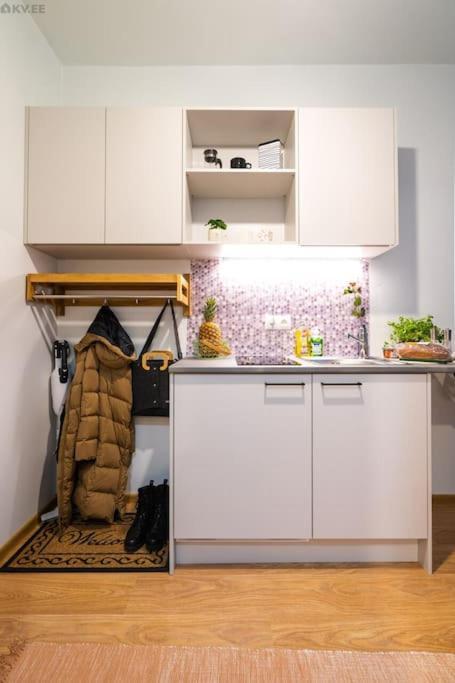 Appartement Koigi Mugavustega Soodne Stuudiokorter Pärnu