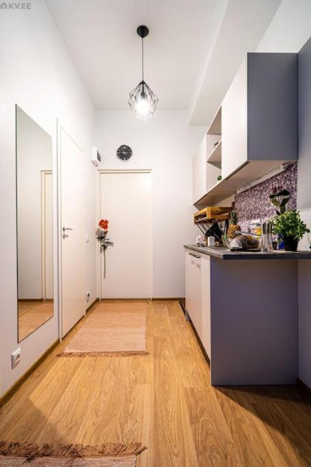Koigi Mugavustega Soodne Stuudiokorter Appartement Pärnu